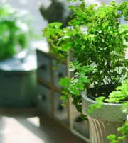 陵水专属于你的开运指南，助你鸿运当头福满身！