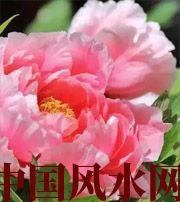 陵水预示你财运上升，姻缘可成的梦境，快来看看吧！