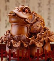 陵水解读金蟾最合适的位置，这样摆放更招财！