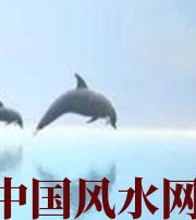 陵水做梦梦到这些，是要富裕的征兆！